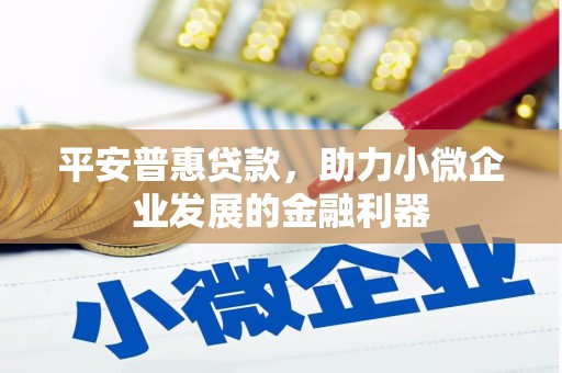 全国平安普惠贷款，助力小微企业发展的金融利器