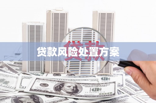 全国贷款风险处置方案