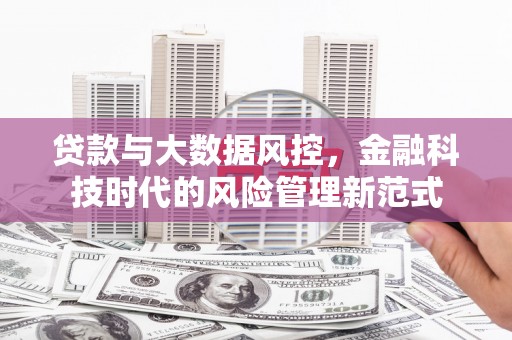 全国贷款与大数据风控，金融科技时代的风险管理新范式