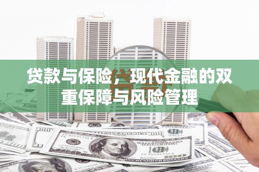 全国贷款与保险，现代金融的双重保障与风险管理