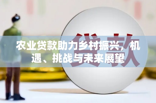 全国农业贷款助力乡村振兴，机遇、挑战与未来展望