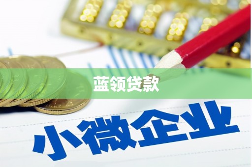 全国蓝领贷款