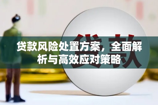 全国贷款风险处置方案，全面解析与高效应对策略