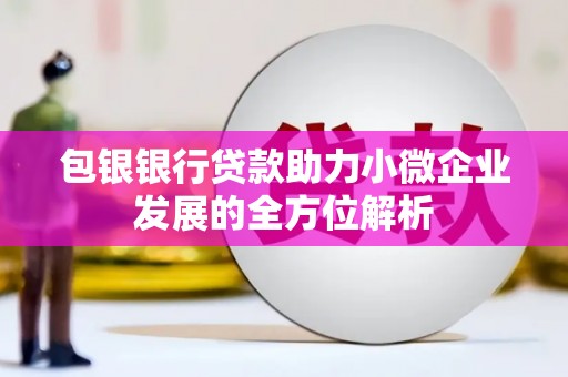 全国包银银行贷款助力小微企业发展的全方位解析