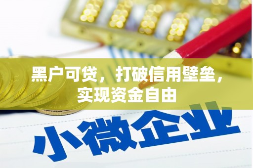 全国黑户可贷，打破信用壁垒，实现资金自由