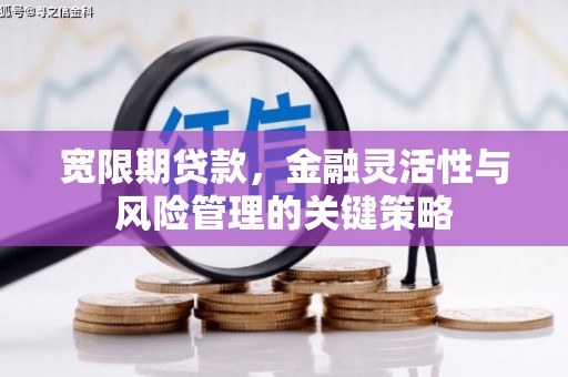 全国宽限期贷款，金融灵活性与风险管理的关键策略