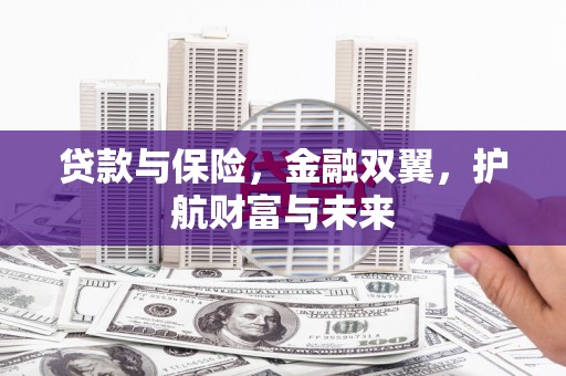 全国贷款与保险，金融双翼，护航财富与未来