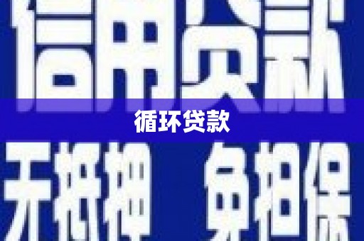 全国循环贷款