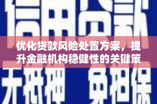 全国优化贷款风险处置方案，提升金融机构稳健性的关键策略