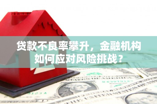 全国贷款不良率攀升，金融机构如何应对风险挑战？