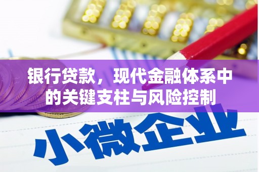 全国银行贷款，现代金融体系中的关键支柱与风险控制