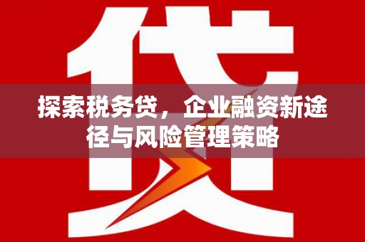 全国探索税务贷，企业融资新途径与风险管理策略