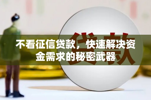 全国不看征信贷款，快速解决资金需求的秘密武器