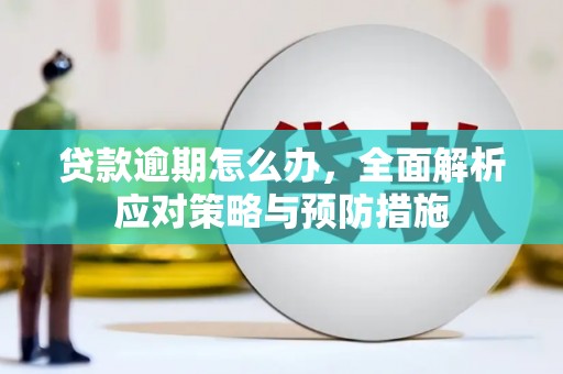 全国贷款逾期怎么办，全面解析应对策略与预防措施