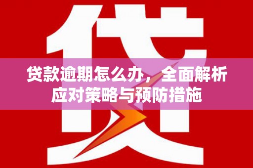 全国贷款逾期怎么办，全面解析应对策略与预防措施