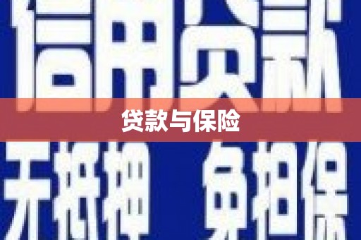 全国贷款与保险