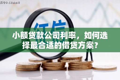 全国小额贷款公司利率，如何选择最合适的借贷方案？