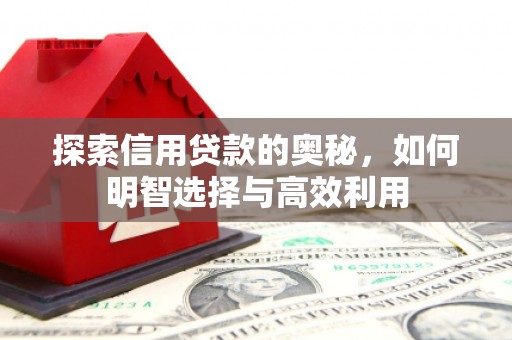 全国探索信用贷款的奥秘，如何明智选择与高效利用