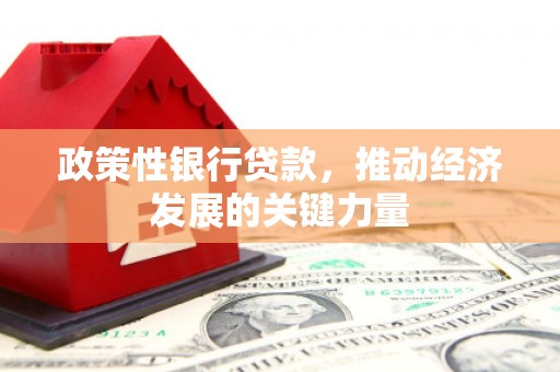 全国政策性银行贷款，推动经济发展的关键力量