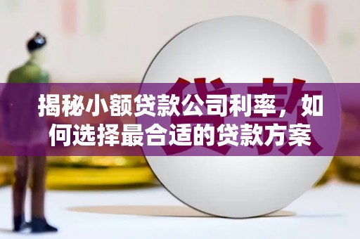 全国揭秘小额贷款公司利率，如何选择最合适的贷款方案