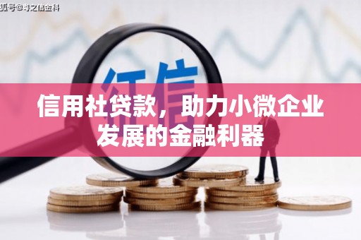 全国信用社贷款，助力小微企业发展的金融利器