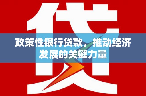全国政策性银行贷款，推动经济发展的关键力量