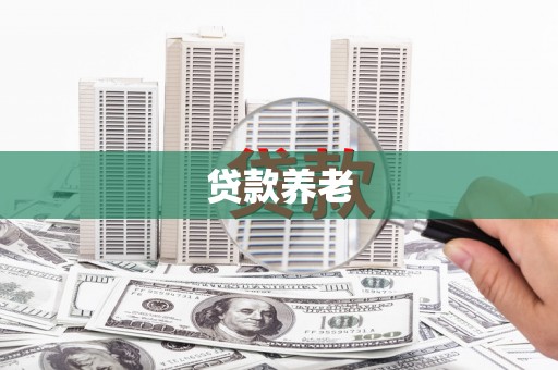 全国贷款养老