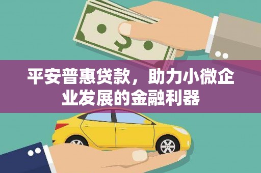 全国平安普惠贷款，助力小微企业发展的金融利器