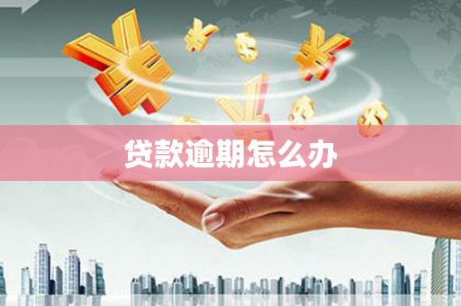 全国贷款逾期怎么办