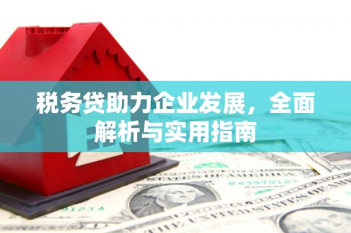 全国税务贷助力企业发展，全面解析与实用指南
