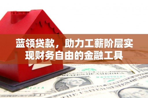 全国蓝领贷款，助力工薪阶层实现财务自由的金融工具
