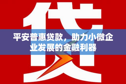 全国平安普惠贷款，助力小微企业发展的金融利器