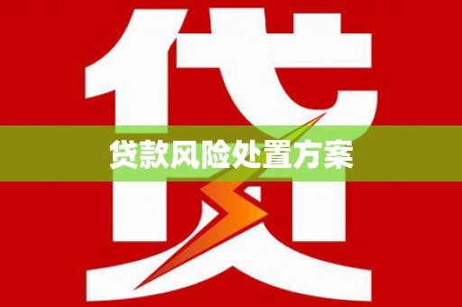 全国贷款风险处置方案
