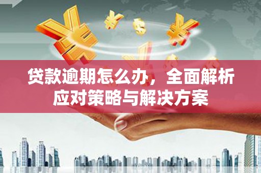 全国贷款逾期怎么办，全面解析应对策略与解决方案